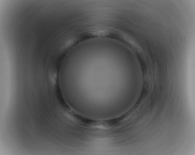 X0000114100652200910051446