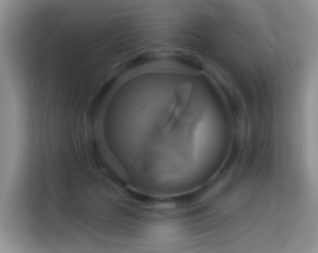 X0000114100653200910051446