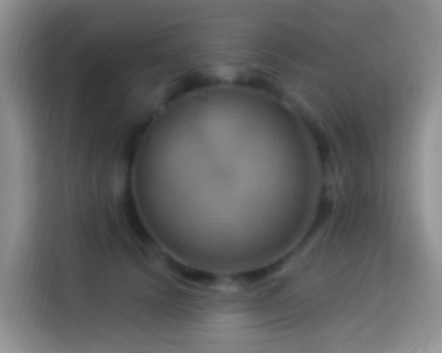 X0000114100656200910051446