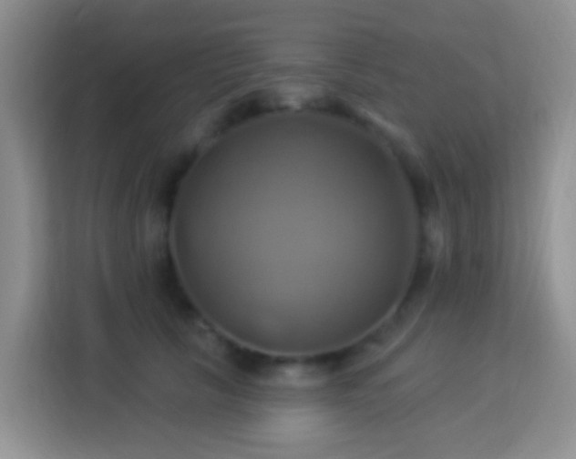 X0000114100657200910051446