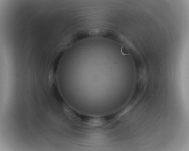 X0000114100659200910051446