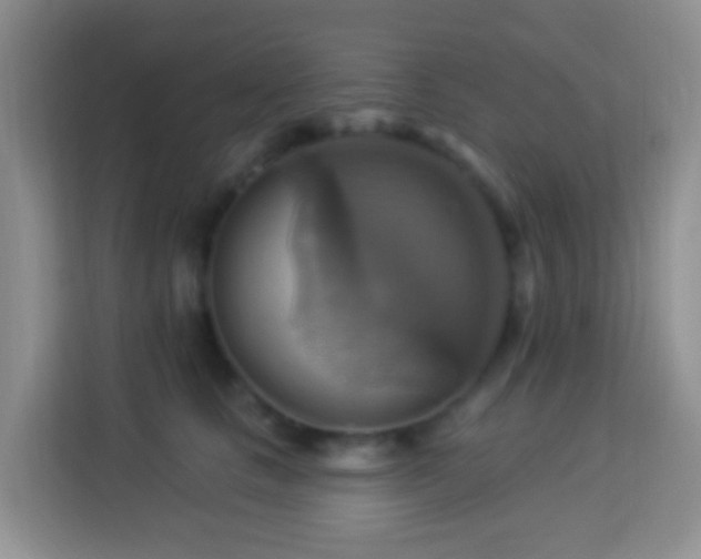 X0000114100661200910051446