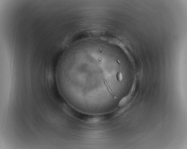 X0000114100662200910051446