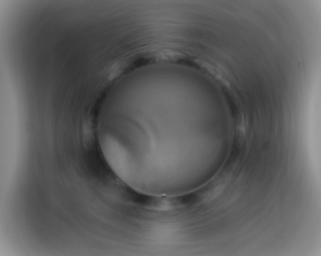 X0000114100663200910051446