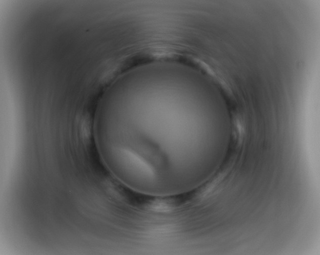 X0000114100664200910051446