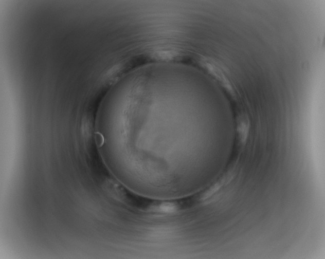 X0000114100665200910051446