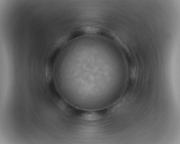 X0000114100666200910051446