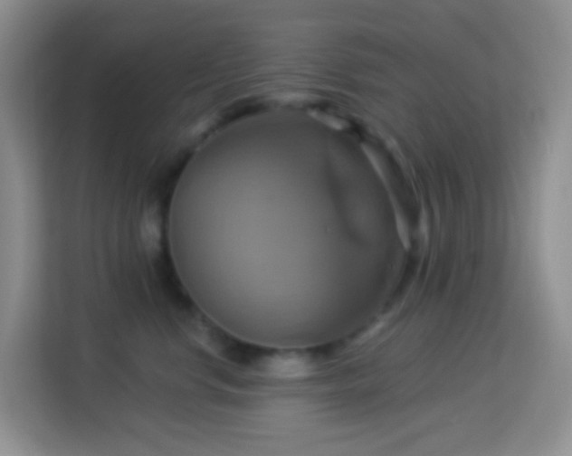 X0000114100668200910051446