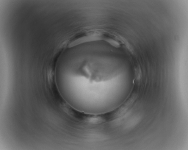 X0000114100669200910051446