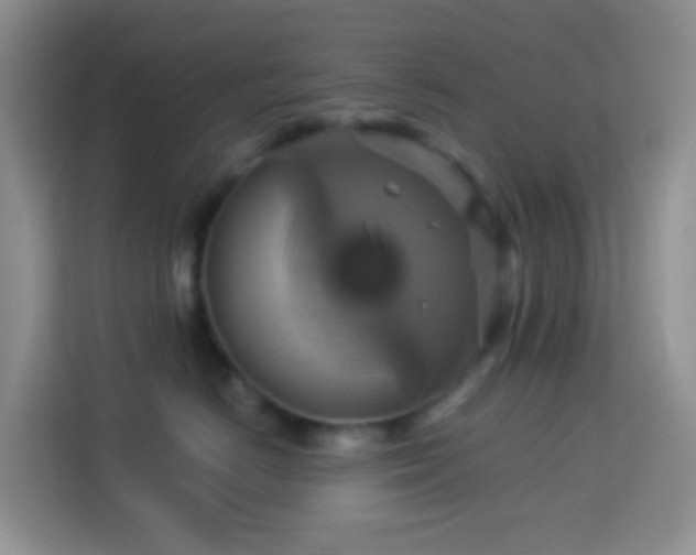 X0000114100670200910051446