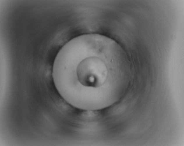 X0000114100672200910051446