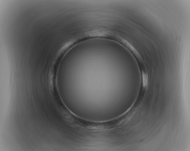 X0000114100675200910051445