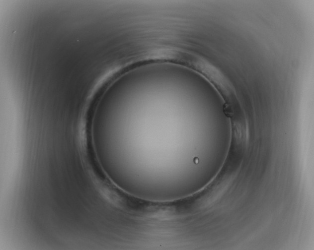 X0000114100676200910051445