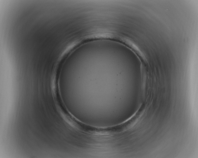 X0000114100677200910051445