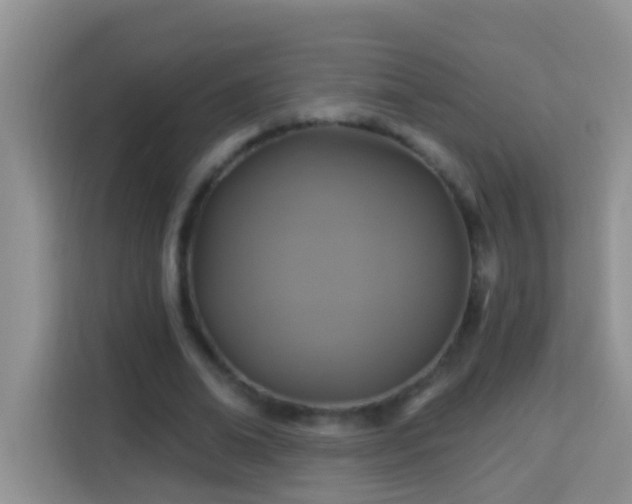 X0000114100678200910051445