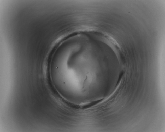 X0000114100679200910051445