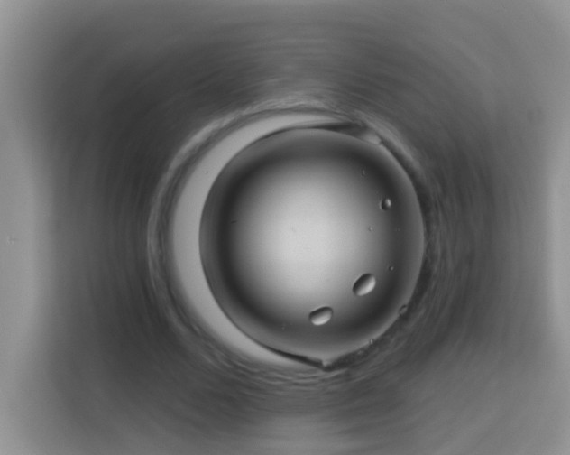 X0000114100680200910051445