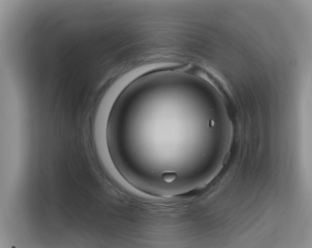 X0000114100681200910051445