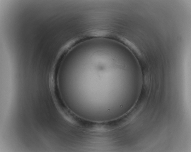 X0000114100682200910051445