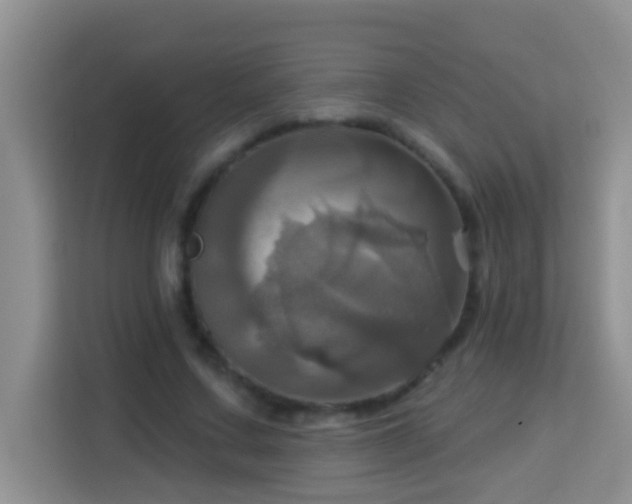 X0000114100683200910051445