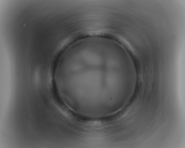 X0000114100687200910051445