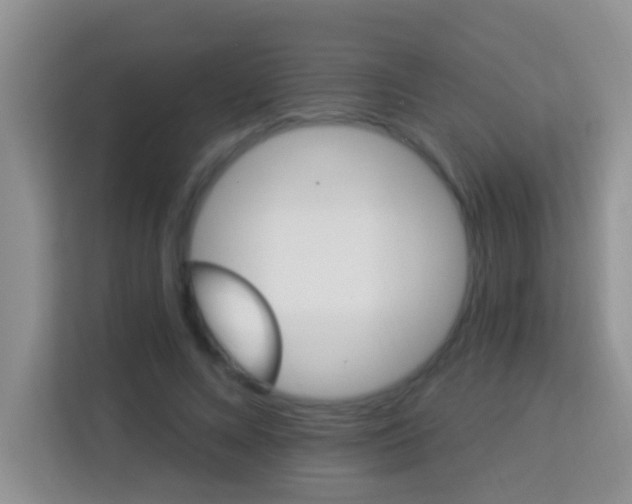 X0000114100688200910051445