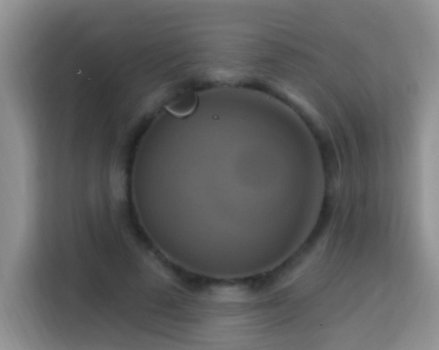 X0000114100689200910051445