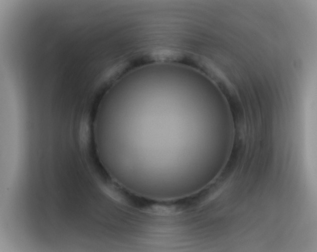 X0000114100690200910051445