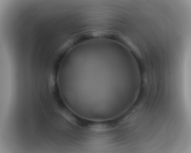 X0000114100691200910051445