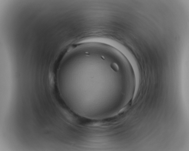 X0000114100692200910051445