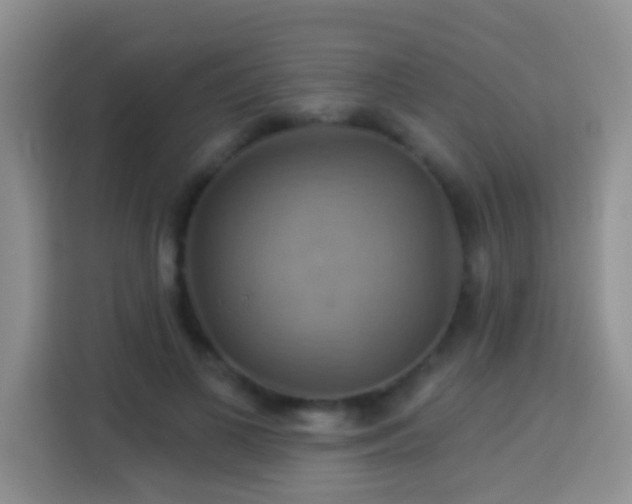 X0000114100693200910051445