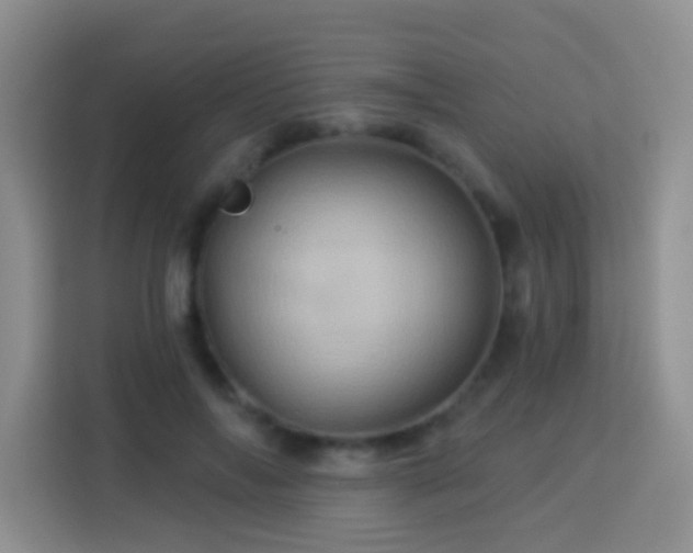 X0000114100694200910051445