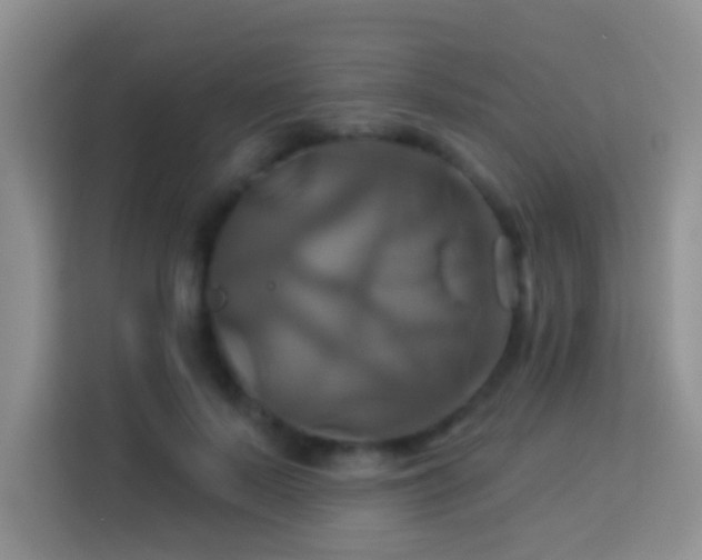 X0000114100695200910051445