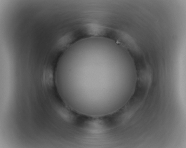 X0000114100696200910051445