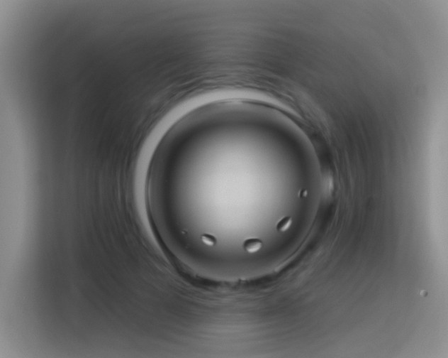 X0000114100697200910051445