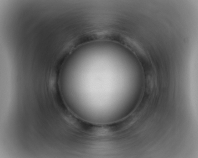 X0000114100698200910051445