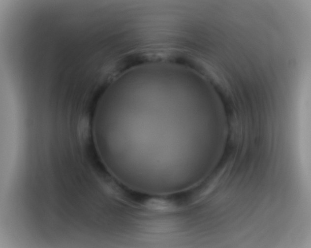 X0000114100699200910051445