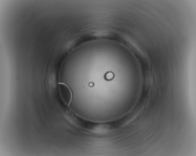 X0000114100700200910051445