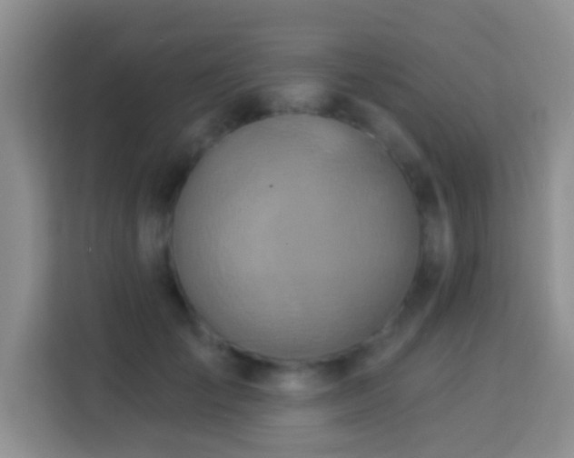 X0000114100701200910051445