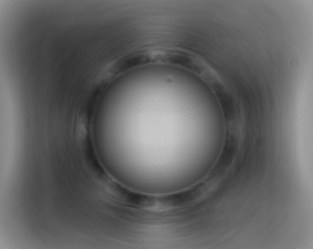 X0000114100702200910051445