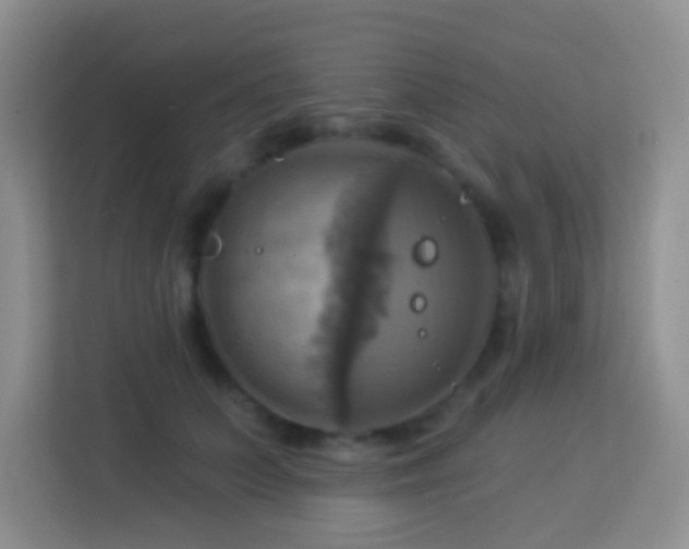 X0000114100703200910051445