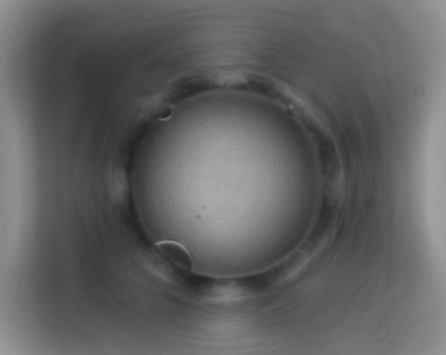 X0000114100704200910051445