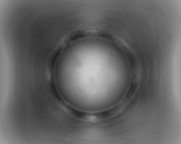 X0000114100706200910051445