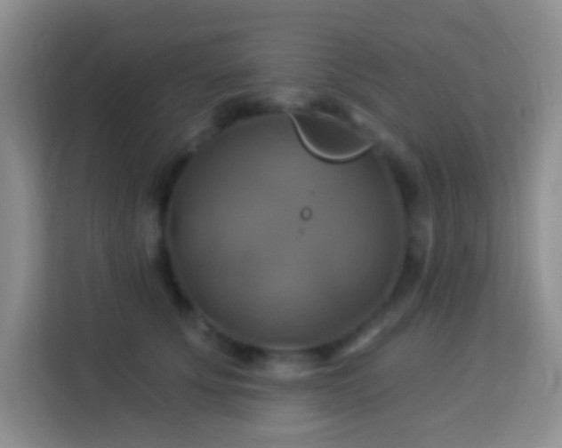 X0000114100707200910051445