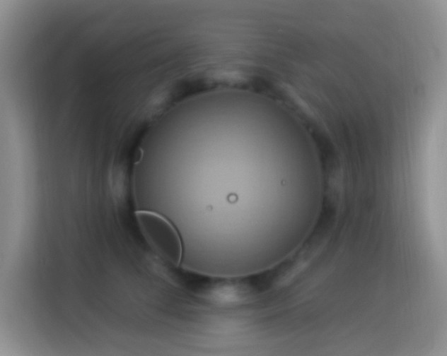 X0000114100708200910051445