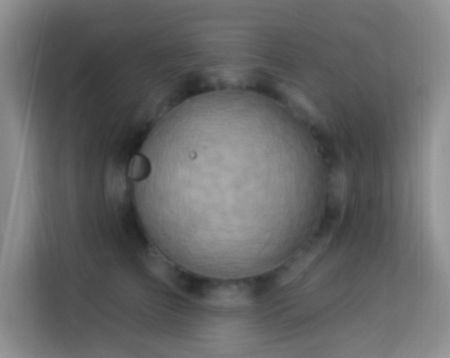 X0000114100709200910051445