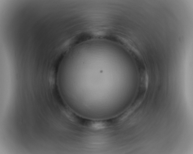 X0000114100710200910051445