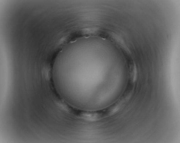 X0000114100712200910051445