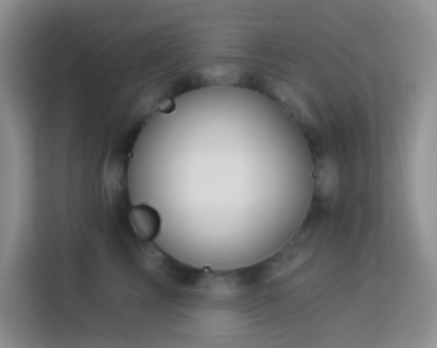 X0000114100713200910051445