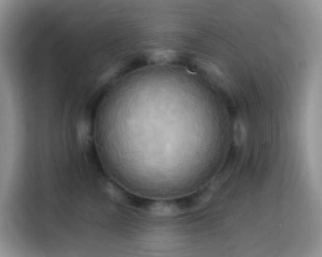 X0000114100714200910051445